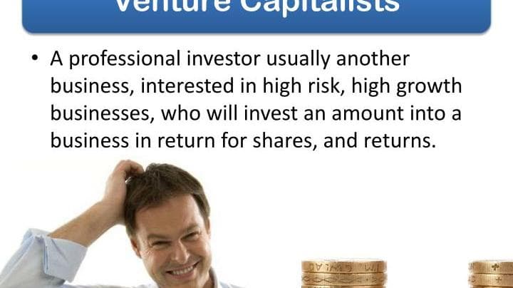 A summary of venture capitalists highlights their role as professional investors who engage with high-risk, high-growth businesses in exchange for equity and potential returns.